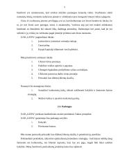 Verslo planas: maisto prekių parduotuvė UAB "Liepa" 5 puslapis