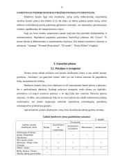 Verslo planas: moteriškų drabužių gamyba UAB "Seramina" 11 puslapis