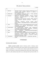 Verslo planas: moteriškų drabužių gamyba UAB "Seramina" 13 puslapis