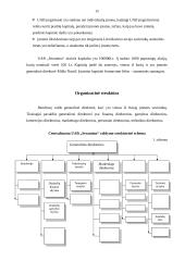 Verslo planas: moteriškų drabužių gamyba UAB "Seramina" 15 puslapis