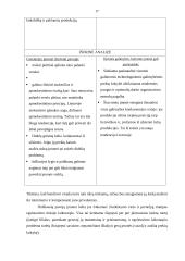 Verslo planas: moteriškų drabužių gamyba UAB "Seramina" 17 puslapis