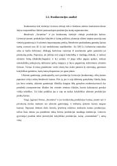 Verslo planas: moteriškų drabužių gamyba UAB "Seramina" 7 puslapis