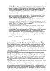 Verslo planas: motorolerių nuoma Trakuose 12 puslapis