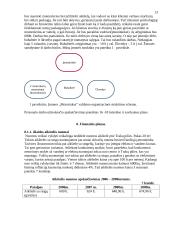Verslo planas: motorolerių nuoma Trakuose 13 puslapis