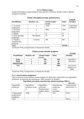 Verslo planas: motorolerių nuoma Trakuose 14 puslapis