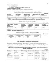 Verslo planas: motorolerių nuoma Trakuose 16 puslapis