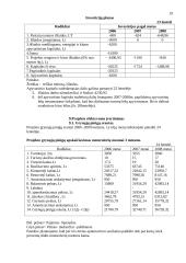 Verslo planas: motorolerių nuoma Trakuose 19 puslapis