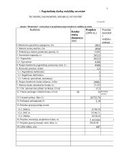 Verslo planas: motorolerių nuoma Trakuose 5 puslapis