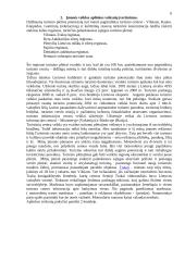 Verslo planas: motorolerių nuoma Trakuose 6 puslapis