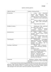 Verslo planas: motorolerių nuoma Trakuose 7 puslapis