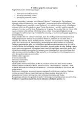 Verslo planas: motorolerių nuoma Trakuose 8 puslapis