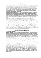 Verslo planas: motorolerių nuoma Trakuose 9 puslapis