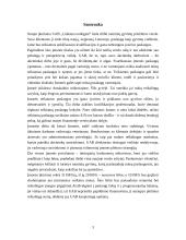 Verslo planas: naminių gyvūnų priežiūra UAB "Linksma uodegytė" 2 puslapis