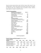 Verslo planas: naminių gyvūnų priežiūra UAB "Linksma uodegytė" 12 puslapis