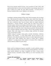 Verslo planas: naminių gyvūnų priežiūra UAB "Linksma uodegytė" 8 puslapis