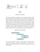 Verslo planas: naminių gyvūnų priežiūra UAB "Linksma uodegytė" 10 puslapis