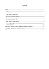 Verslo planas: pynimas iš vytelių  UAB "Vytelės" 2 puslapis