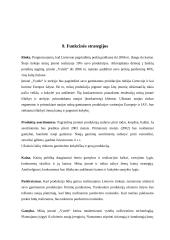 Verslo planas: pynimas iš vytelių  UAB "Vytelės" 13 puslapis