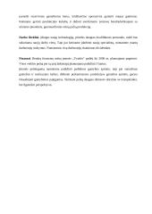 Verslo planas: pynimas iš vytelių  UAB "Vytelės" 14 puslapis