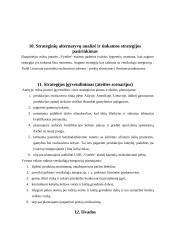 Verslo planas: pynimas iš vytelių  UAB "Vytelės" 15 puslapis