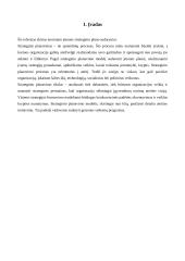 Verslo planas: pynimas iš vytelių  UAB "Vytelės" 3 puslapis