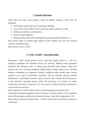 Verslo planas: pynimas iš vytelių  UAB "Vytelės" 4 puslapis