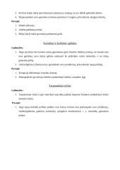 Verslo planas: pynimas iš vytelių  UAB "Vytelės" 6 puslapis