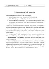 Verslo planas: pynimas iš vytelių  UAB "Vytelės" 10 puslapis