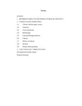 Verslo planas: pirminis medienos apdirbimas UAB "Osvalda"