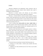 Verslo planas: pirminis medienos apdirbimas UAB "Osvalda" 2 puslapis