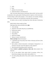 Verslo planas: pirminis medienos apdirbimas UAB "Osvalda" 12 puslapis