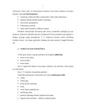 Verslo planas: pirminis medienos apdirbimas UAB "Osvalda" 6 puslapis