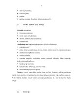 Verslo planas: pirminis medienos apdirbimas UAB "Osvalda" 7 puslapis