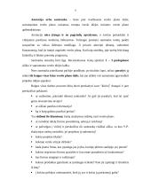 Verslo planas: pirminis medienos apdirbimas UAB "Osvalda" 8 puslapis