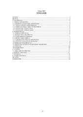 Verslo planas: prekyba oru 2 puslapis