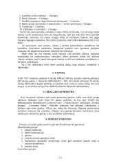 Verslo planas: prekyba oru 11 puslapis