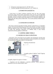 Verslo planas: prekyba oru 7 puslapis