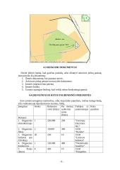 Verslo planas: prekyba oru 9 puslapis