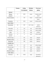 Verslo planas: sveikatingumo kompleksas IĮ "Vakaris 18%" 11 puslapis