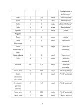 Verslo planas: sveikatingumo kompleksas IĮ "Vakaris 18%" 12 puslapis