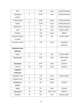 Verslo planas: sveikatingumo kompleksas IĮ "Vakaris 18%" 13 puslapis