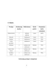 Verslo planas: sveikatingumo kompleksas IĮ "Vakaris 18%" 16 puslapis