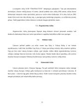 Verslo planas: transporto-ekspedicinės firmos UAB "Transactive" 13 puslapis