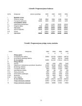 Verslo planas: transporto-ekspedicinės firmos UAB "Transactive" 15 puslapis