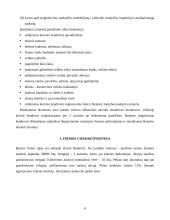 Verslo planas: transporto-ekspedicinės firmos UAB "Transactive" 6 puslapis