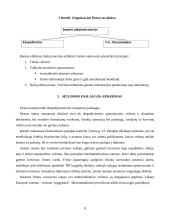 Verslo planas: transporto-ekspedicinės firmos UAB "Transactive" 8 puslapis