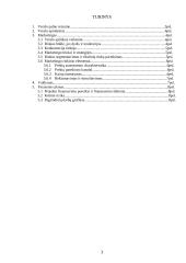 Verslo planas: TŪB "Programinių paketų platinimas"