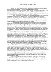 Verslo planas: TŪB "Programinių paketų platinimas" 2 puslapis