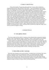 Verslo planas: TŪB "Programinių paketų platinimas" 3 puslapis