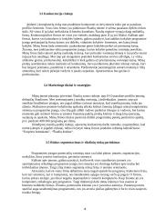 Verslo planas: TŪB "Programinių paketų platinimas" 4 puslapis